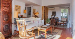 Spectacular villa in New Golden Mile