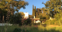 Spectacular villa in New Golden Mile