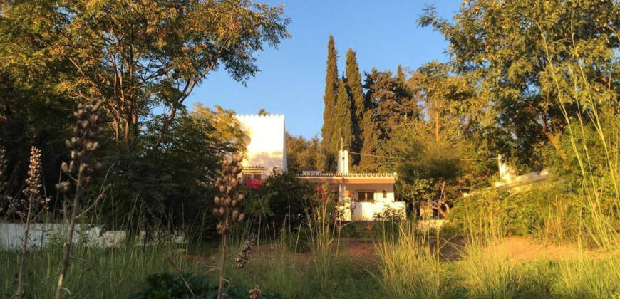 Spectacular villa in New Golden Mile